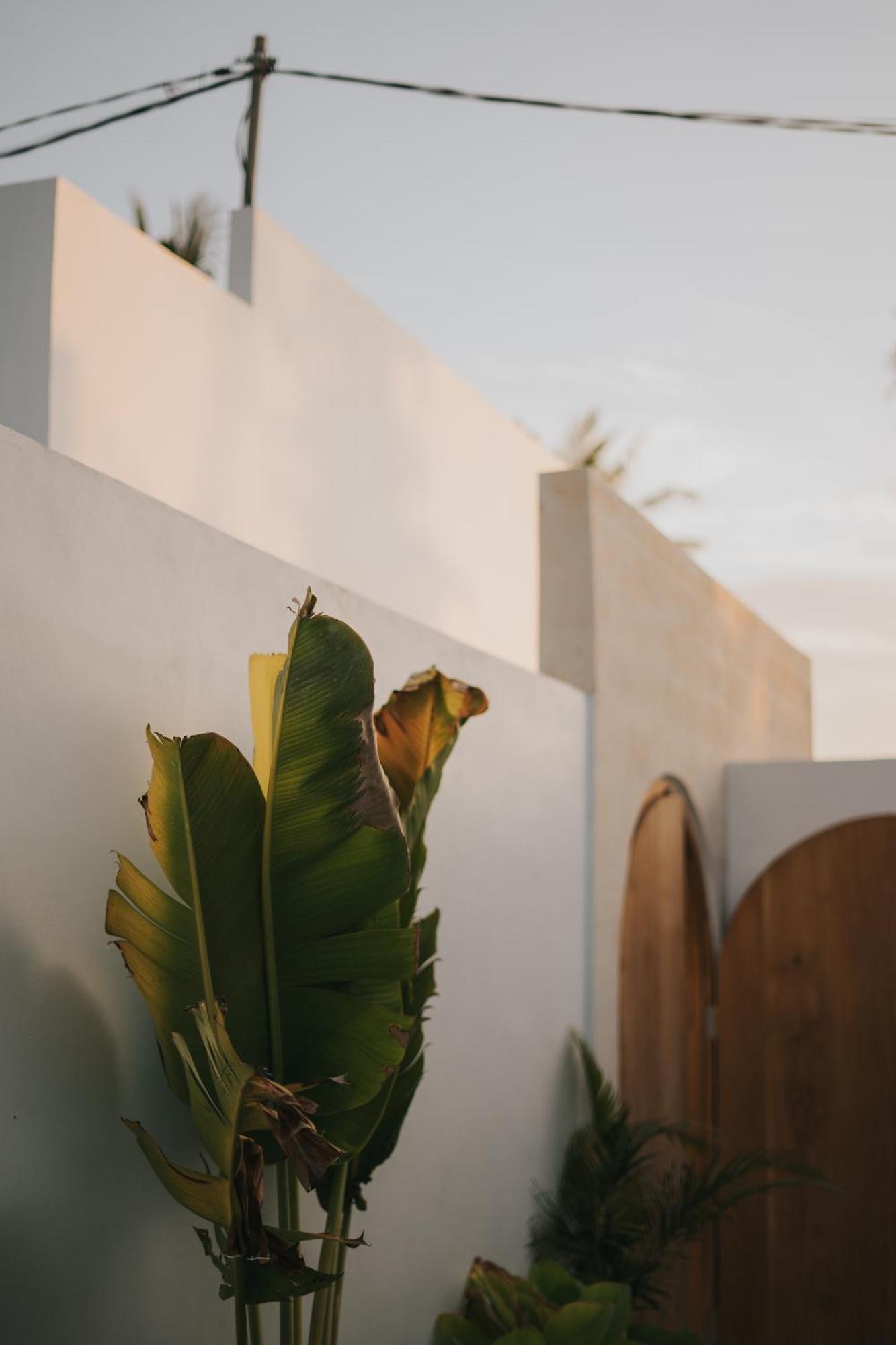 Brandon Villa Lovina With Private Pool Екстериор снимка
