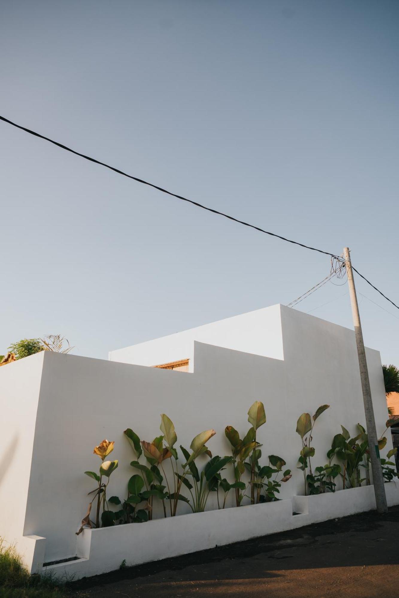Brandon Villa Lovina With Private Pool Екстериор снимка